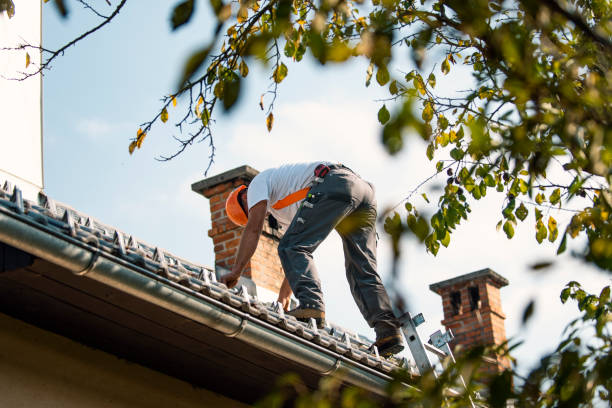 Best Flat Roof Repair Services  in Evans, GA